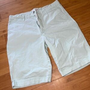 Goodiellow Mint Green Shorts Size 32